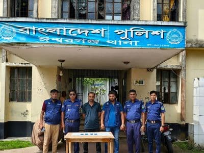 ঈশ্বরগঞ্জে ৮০০ পিস ইয়াবাসহ ১ মাদক কারবারি গ্রেপ্তার