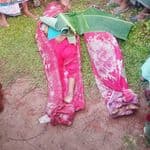  তারাকান্দায় কাভার্ডভ্যানচাপায় প্রাণ গেল দুই বোনের