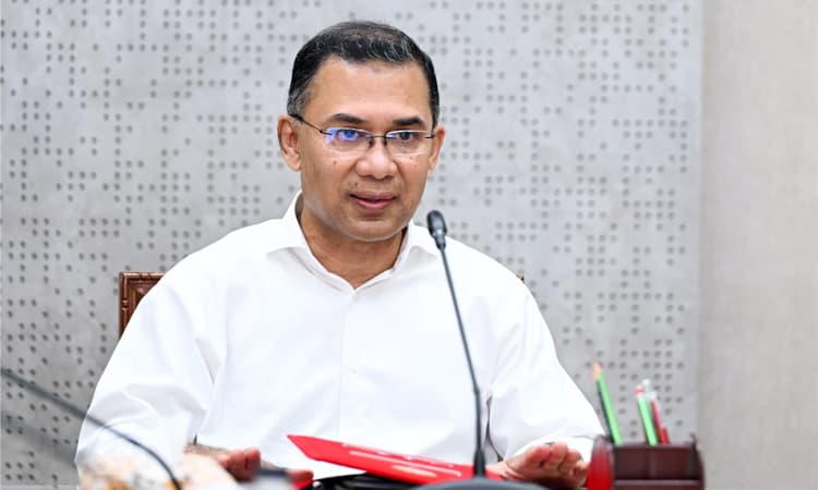 মশক নিধন শিখতে ফ্লোরিডা নয়, ডোবার পাশে দাঁড়ানোর পরামর্শ প্রধানমন্ত্রীর