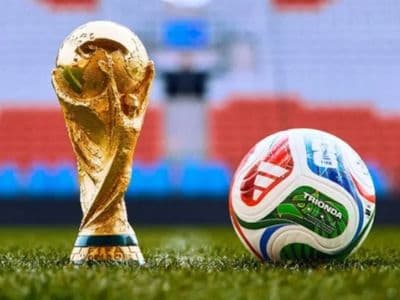 বিশ্বকাপ নিয়ে ভবিষ্যদ্বাণী করল অপ্টা