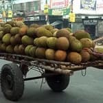 চীন কেন বাংলাদেশ থেকে কাঁঠাল নিতে চায়?