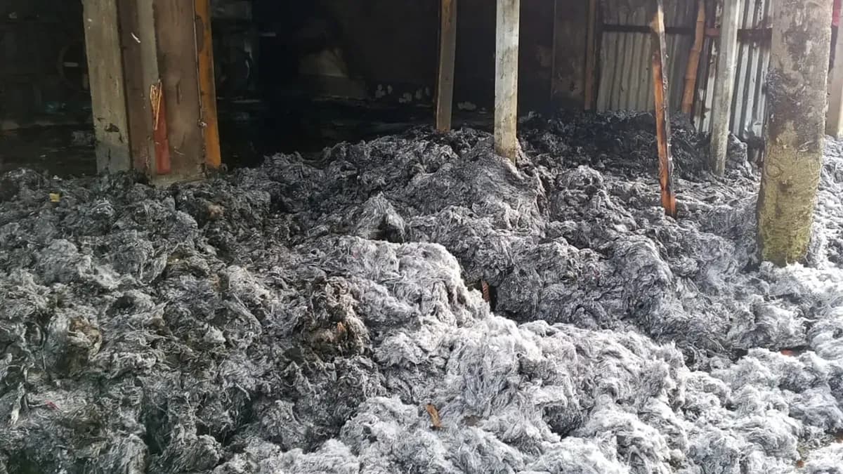 হালুয়াঘাটে তুলার গুদাম পুড়ে ছাই, ২৫ লাখ টাকা ক্ষতির দাবি