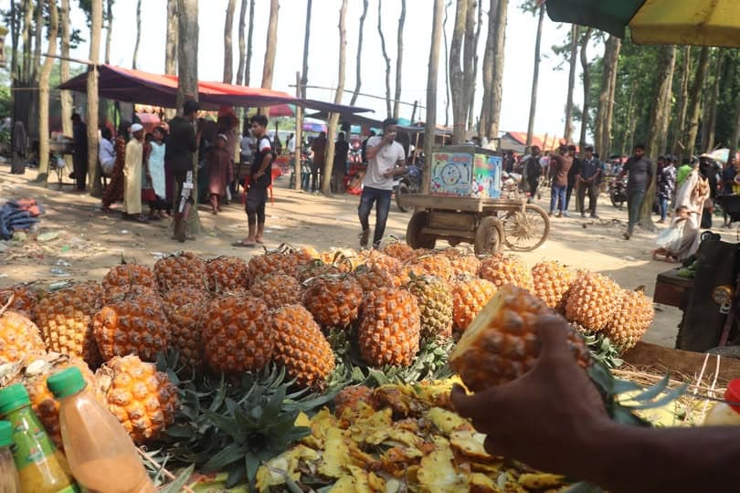 সন্তোষপুর বনে বানর দেখতে দর্শনার্থীর ভিড় কম