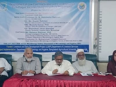 বাকৃবির গবেষণায় হাঁসের প্লেগ টিকায় ইতিবাচক ফল, সুরক্ষা ৯০ শতাংশ