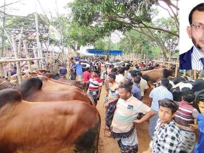 কোরবানির হাটে কৃত্রিমভাবে মোটাতাজা পশু বিষয়ে বাকৃবি’র প্রাণী বিশেষজ্ঞের সর্তকবার্তা  