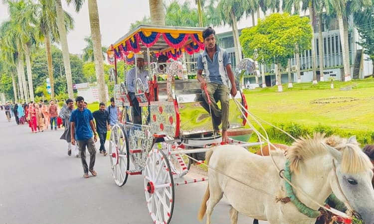 বাকৃবিতে ৩৮ বছরের শিক্ষকতা শেষে অধ্যাপকের রাজকীয় বিদায়