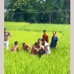 ভালুকায় ধান ক্ষেতে পল্লী বিদ্যুতের ছেড়া তারে বিদ্যুৎস্পৃষ্ট হয়ে চাচতো দুই ভাইয়ের মৃত্যু