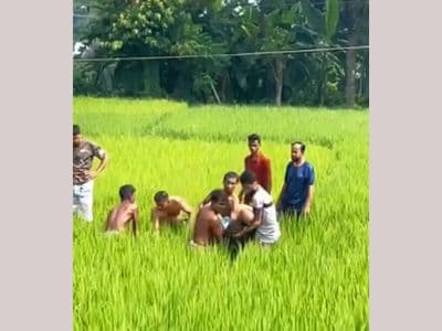 ভালুকায় ধান ক্ষেতে পল্লী বিদ্যুতের ছেড়া তারে বিদ্যুৎস্পৃষ্ট হয়ে চাচতো দুই ভাইয়ের মৃত্যু