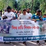 গারো পাহাড়ে বাড়ছে হাতির সংখ্যা, ১৬ বছরে মানুষ-হাতির দ্বন্দ্বে নিহত ৪৭