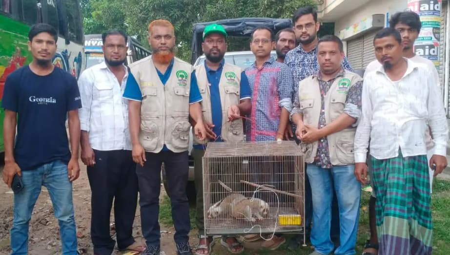 হালুয়াঘাটে পাচারের সময় দুটি বিপন্ন লজ্জাবতী বানর উদ্ধার