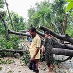 হালুয়াঘাটে আকস্মিক ঝড়ে অর্ধশতাধিক ঘরবাড়ি ক্ষতিগ্রস্ত, উপড়ে পড়েছে গাছ-বিদ্যুতের খুঁটি