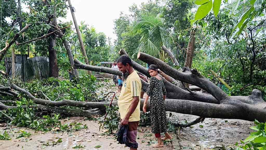 হালুয়াঘাটে আকস্মিক ঝড়ে অর্ধশতাধিক ঘরবাড়ি ক্ষতিগ্রস্ত, উপড়ে পড়েছে গাছ-বিদ্যুতের খুঁটি