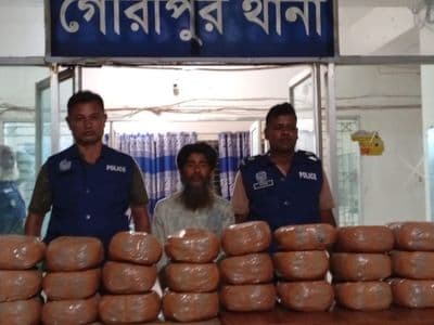 গৌরীপুরে ৪৮ কেজি গাঁজাসহ মাদক কারবারি গ্রেফতার 