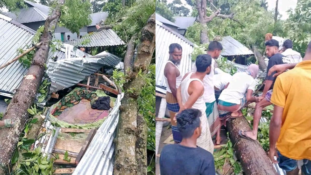 জামালপুরে কালবৈশাখী ঝড়ে ঘরের উপর গাছ ভেঙ্গে চাপা পড়ে ঘুমন্ত মা ও দুই মেয়ের মৃত্যু 