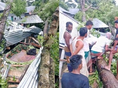 জামালপুরে কালবৈশাখী ঝড়ে ঘরের উপর গাছ ভেঙ্গে চাপা পড়ে ঘুমন্ত মা ও দুই মেয়ের মৃত্যু 