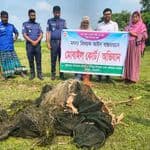 কেন্দুয়ায় মোড়াই বিলে অভিযান, পুড়িয়ে ধ্বংস ১০০ মিটার নিষিদ্ধ জাল