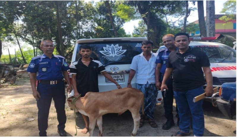 মাইক্রোবাস নিয়ে গরু চুরি, ২৪ ঘন্টায় উদ্ধার : গাড়ীসহ গ্রেফতার-২
