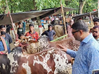 ময়মনসিংহে সন্ধ্যা ৬টার মধ্যে বর্জ্য অপসারণের ঘোষণা