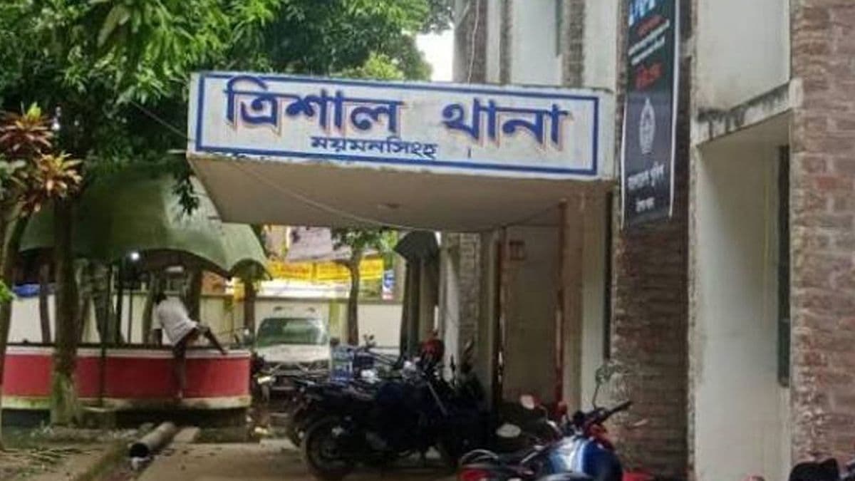 ছোট ভাইকে বাঁচাতে গিয়ে প্রাণ গেল বড় ভাইয়ের