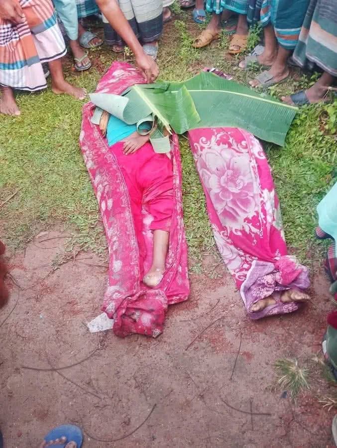 তারাকান্দায় কাভার্ডভ্যানচাপায় প্রাণ গেল দুই বোনের