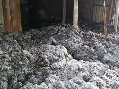 হালুয়াঘাটে তুলার গুদাম পুড়ে ছাই, ২৫ লাখ টাকা ক্ষতির দাবি