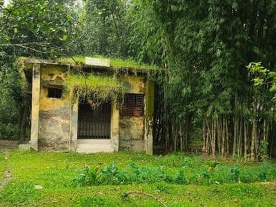 গৌরীপুরে পোস্ট অফিসে প্রেমপত্র নয় আসে তালাকপত্র