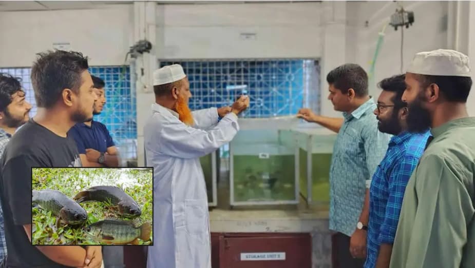 অভায়ারণ্য আড়িয়াল বিলের কইসহ দেশীয় ছোট ৫ প্রজাতির মাছে মাইক্রোপ্লাস্টিকের উপস্থিতি শনাক্ত