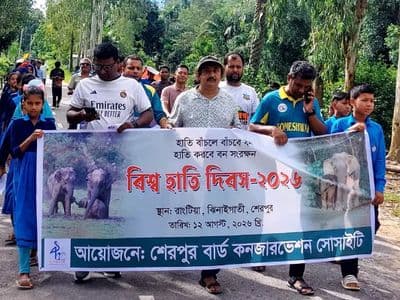 গারো পাহাড়ে বাড়ছে হাতির সংখ্যা, ১৬ বছরে মানুষ-হাতির দ্বন্দ্বে নিহত ৪৭