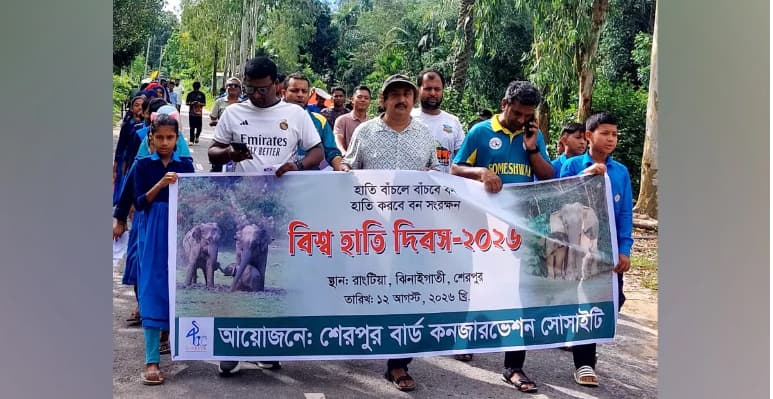 গারো পাহাড়ে বাড়ছে হাতির সংখ্যা, ১৬ বছরে মানুষ-হাতির দ্বন্দ্বে নিহত ৪৭