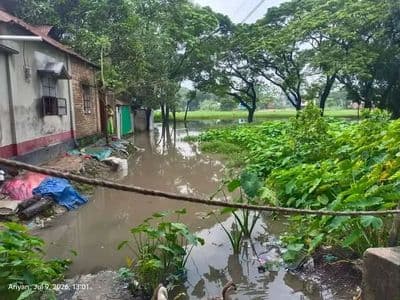 গফরগাঁওয়ে জলাবদ্ধতা : ভোগান্তি পৌরবাসীর