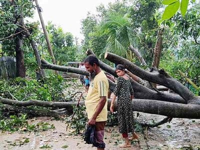 হালুয়াঘাটে আকস্মিক ঝড়ে অর্ধশতাধিক ঘরবাড়ি ক্ষতিগ্রস্ত, উপড়ে পড়েছে গাছ-বিদ্যুতের খুঁটি